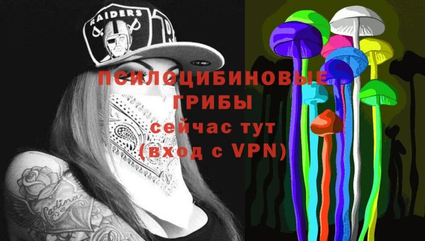 a pvp Алексеевка